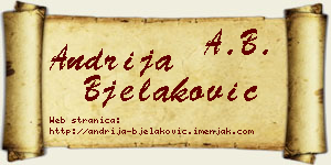 Andrija Bjelaković vizit kartica